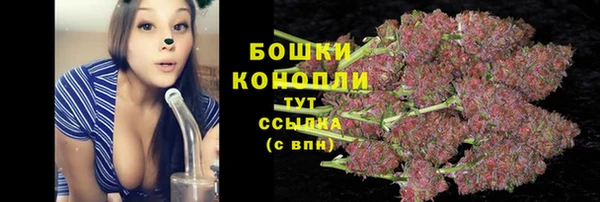 круглые Верея