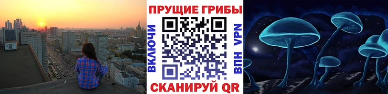купить наркотик Ершов Псилоцибиновые грибы GOLDEN TEACHER